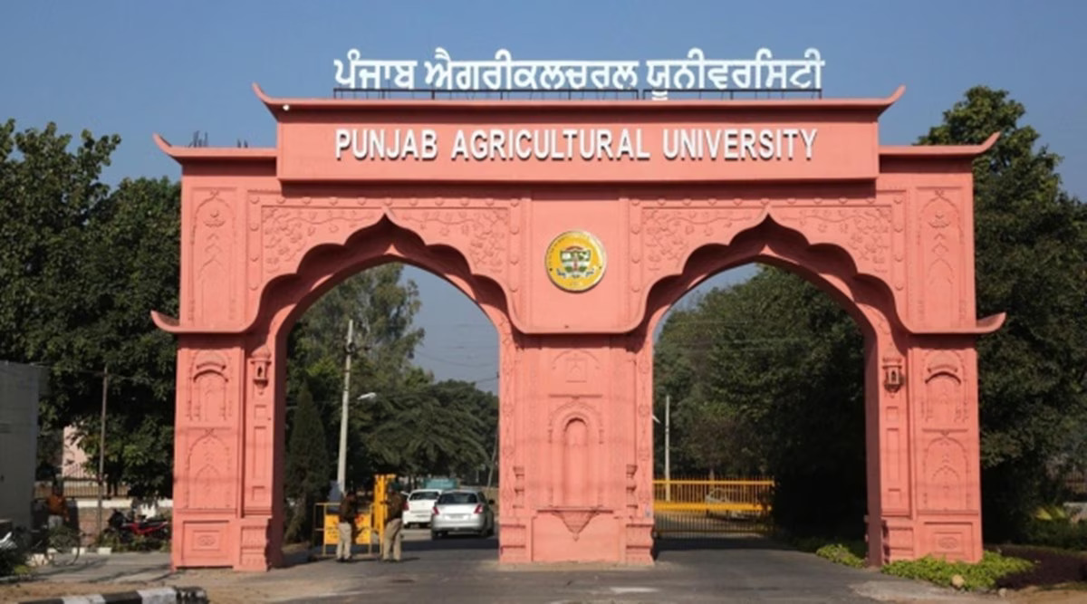 Punjab Agricultural University